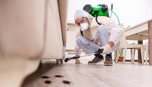 Best Termite Inspection and Treatment  in Osage Beach, MO